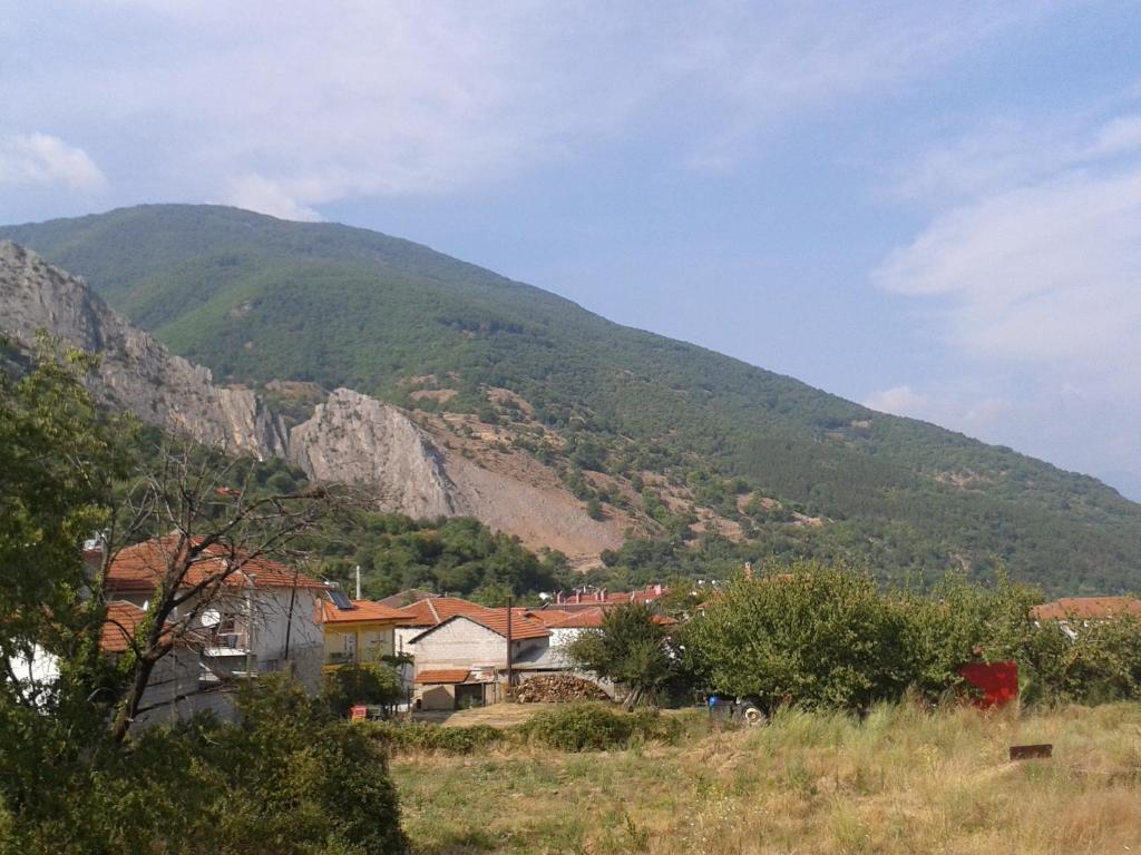 Guesthouse Adonis Káto Loutrákion Exteriér fotografie