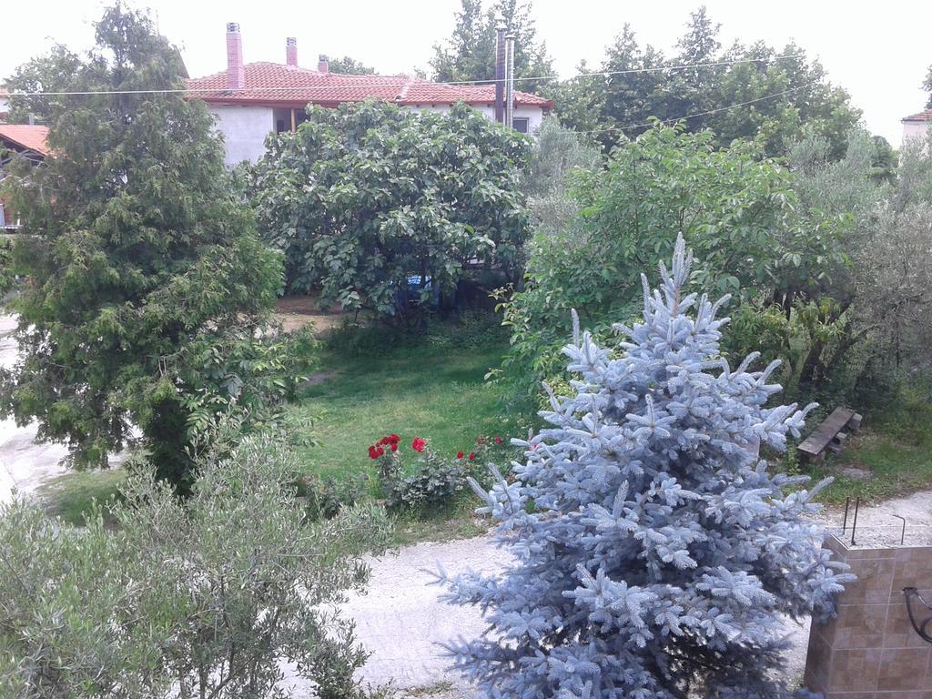 Guesthouse Adonis Káto Loutrákion Exteriér fotografie