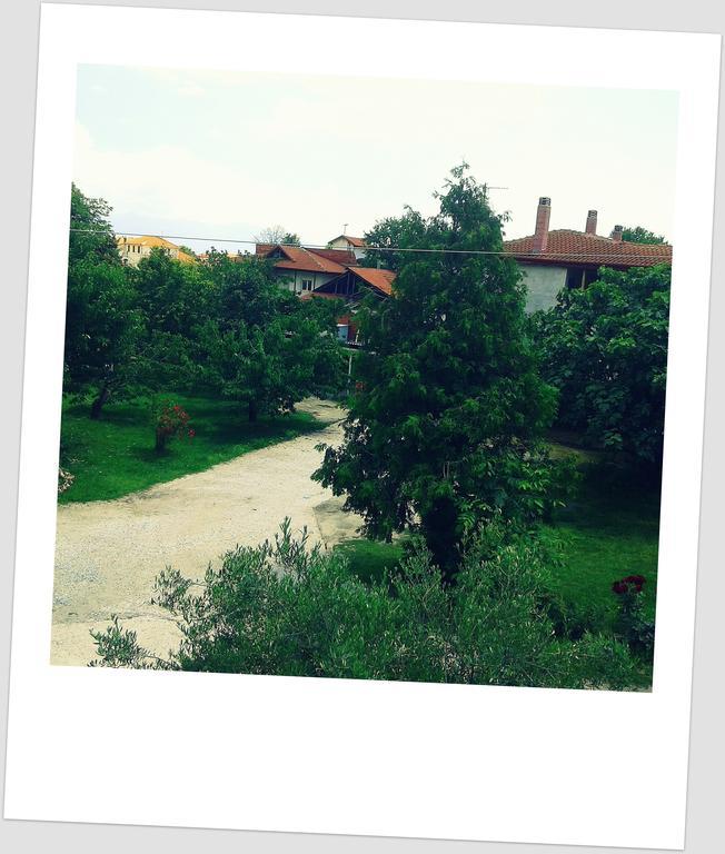 Guesthouse Adonis Káto Loutrákion Exteriér fotografie